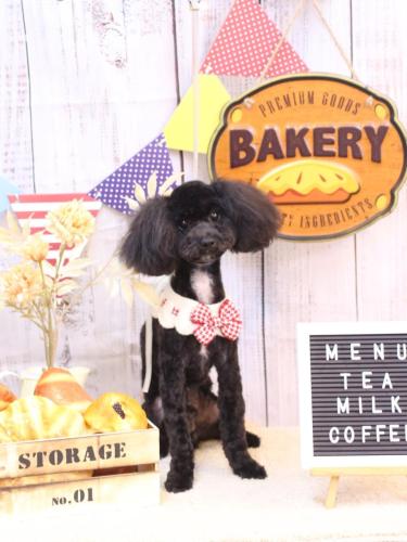 20240912コアくん